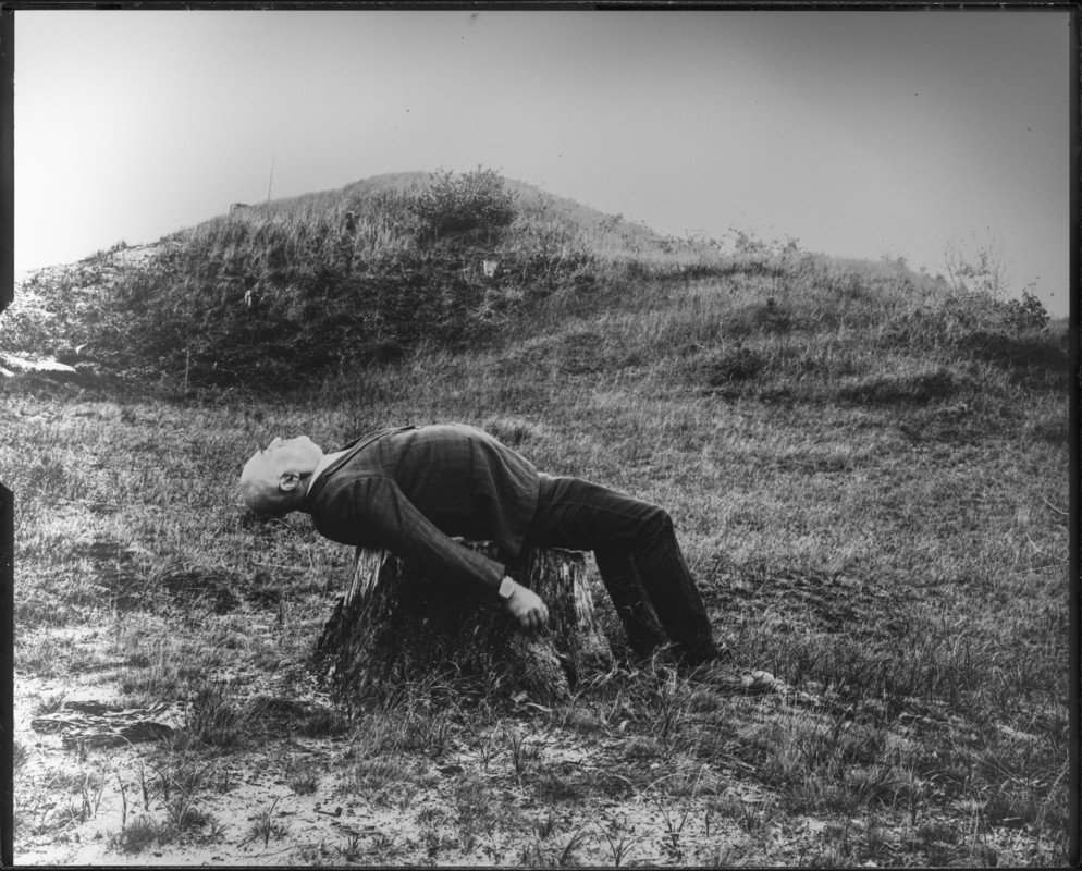 Ton Schless
