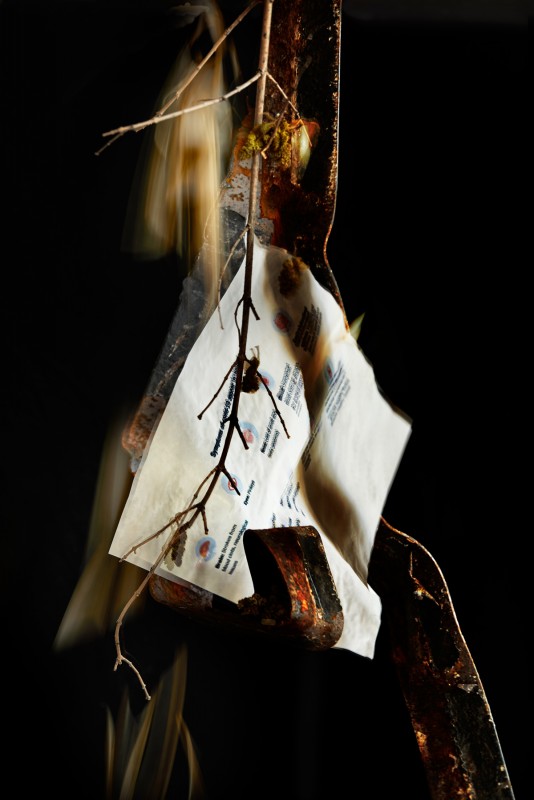 Beth Galton