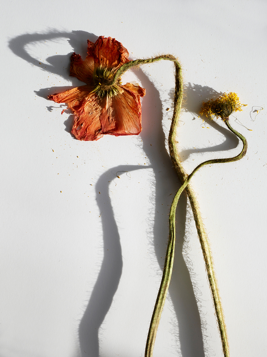 Beth Galton