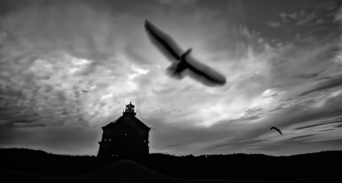 Eric Lawton