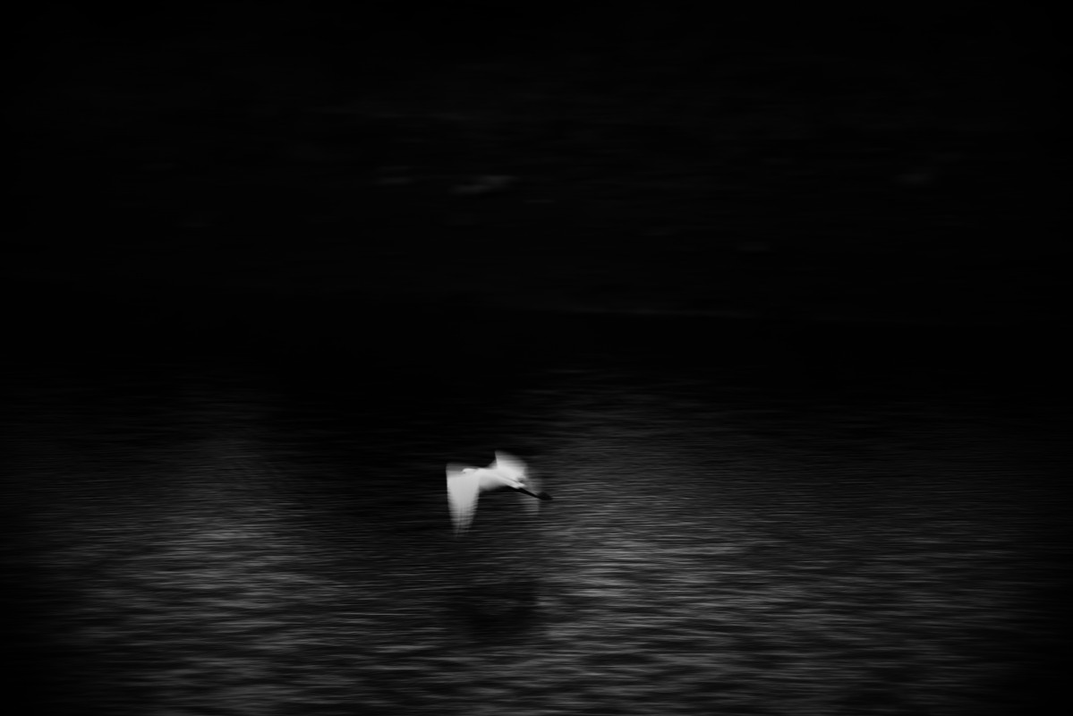 Hope Gordon