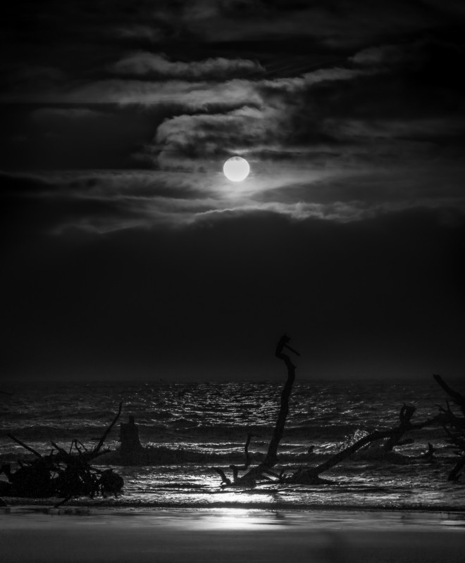 Jacqueline Schletter