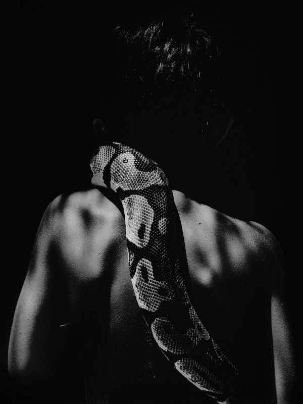 Raymond Alva